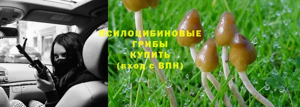 не бодяженный Армянск